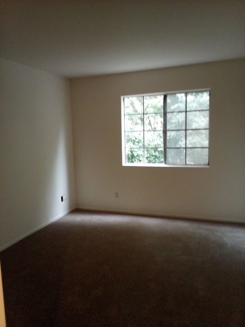 3031 Grand View Blvd #207 - Photo 6 of 11