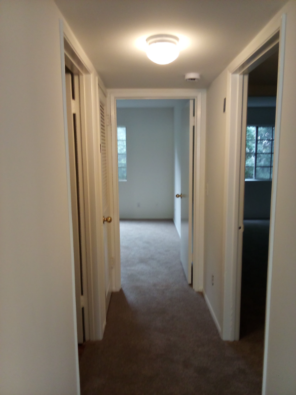 3031 Grand View Blvd #207 - Photo 7 of 11