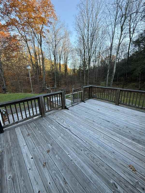 115 Morning Star Ln - Photo 3 of 19