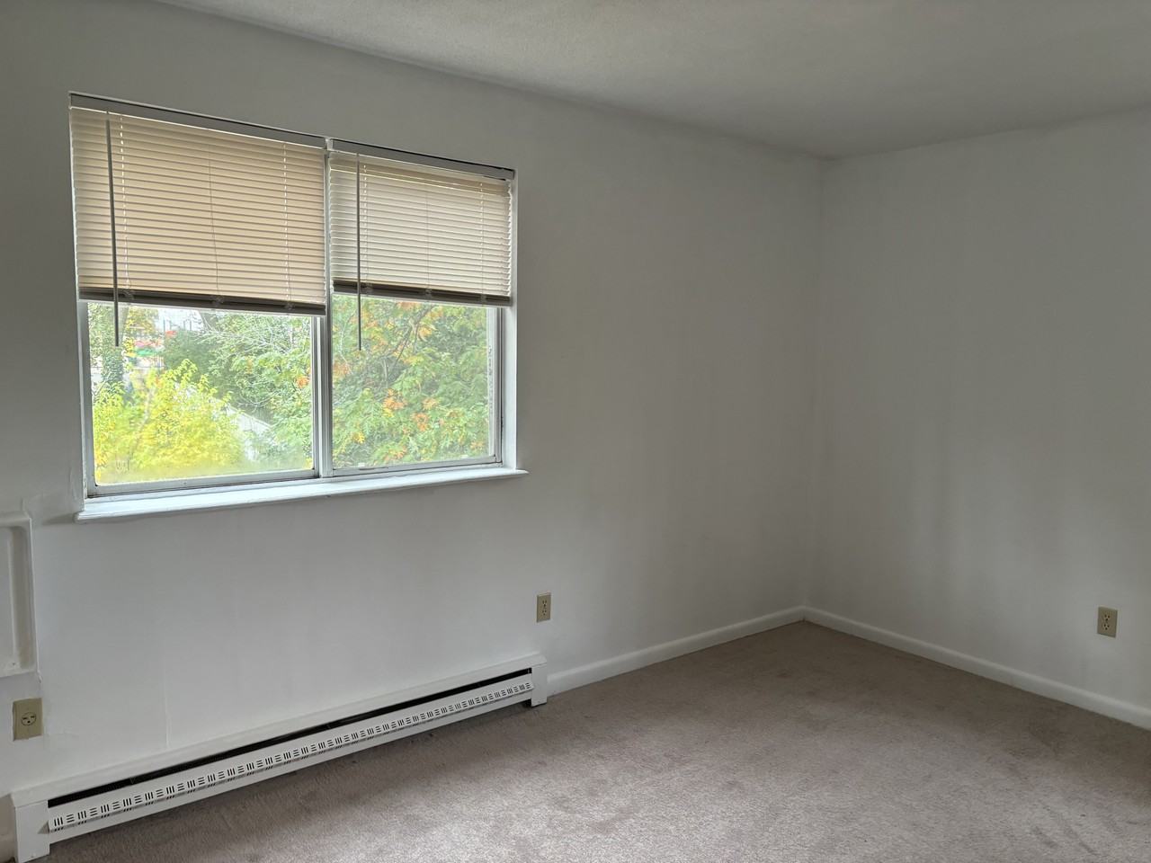 Belmont Street #11 - Photo 3 of 6