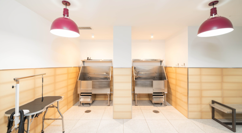 187 N Desplaines St - Photo 7 of 15