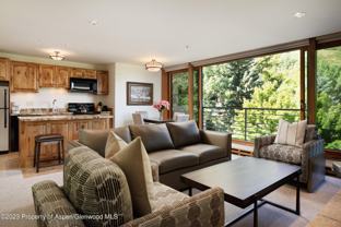 728 South Galena Street #B201 - Photo 1 of 1