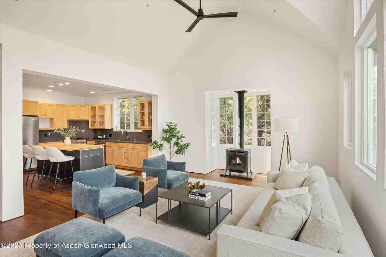 302 Wild Spring Ln - Photo 6 of 28