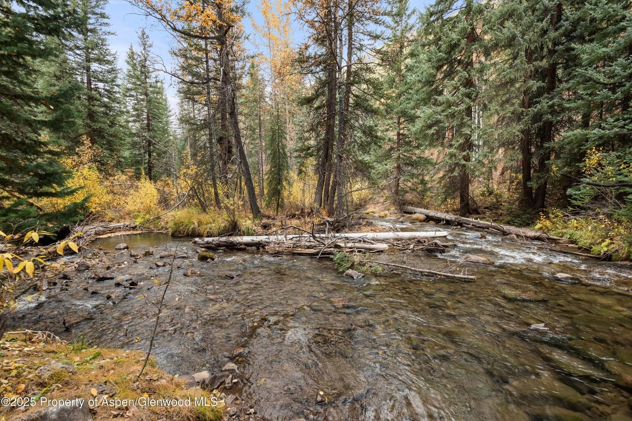 9676 Castle Creek Rd - Photo 7 of 21