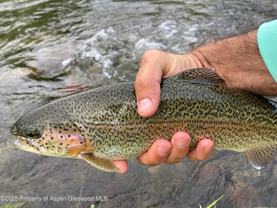 404 Stagecoach Ln - Photo 1 of 1