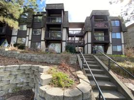 Oak - Spokane - Photo 1 of 1