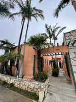 Cozy Vintage Studio Apartment | First Floor Unit in Quiet, Smoke - Photo 1 of 1