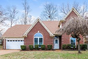 featured image of 105 Norma Carol Cv