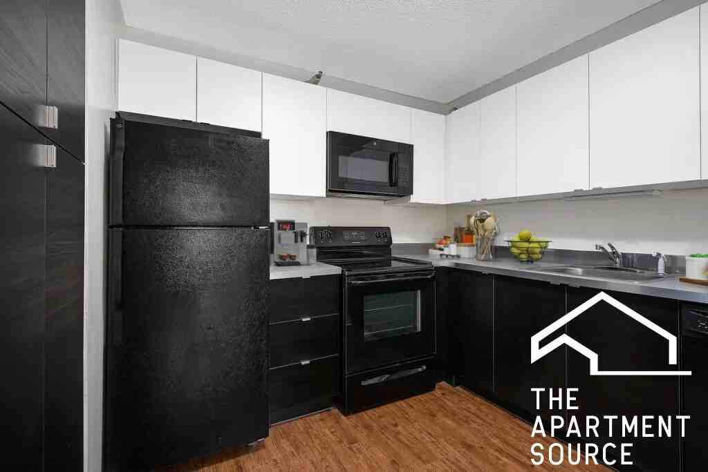 1000 N La Salle Dr #913