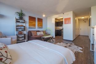 555 W Madison St #06 - Photo 1 of 1