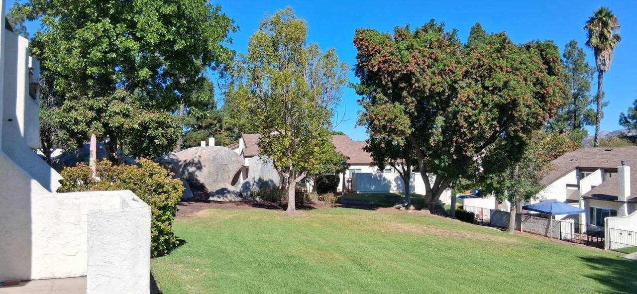 1437 1437 Robin Ln - Photo 7 of 24