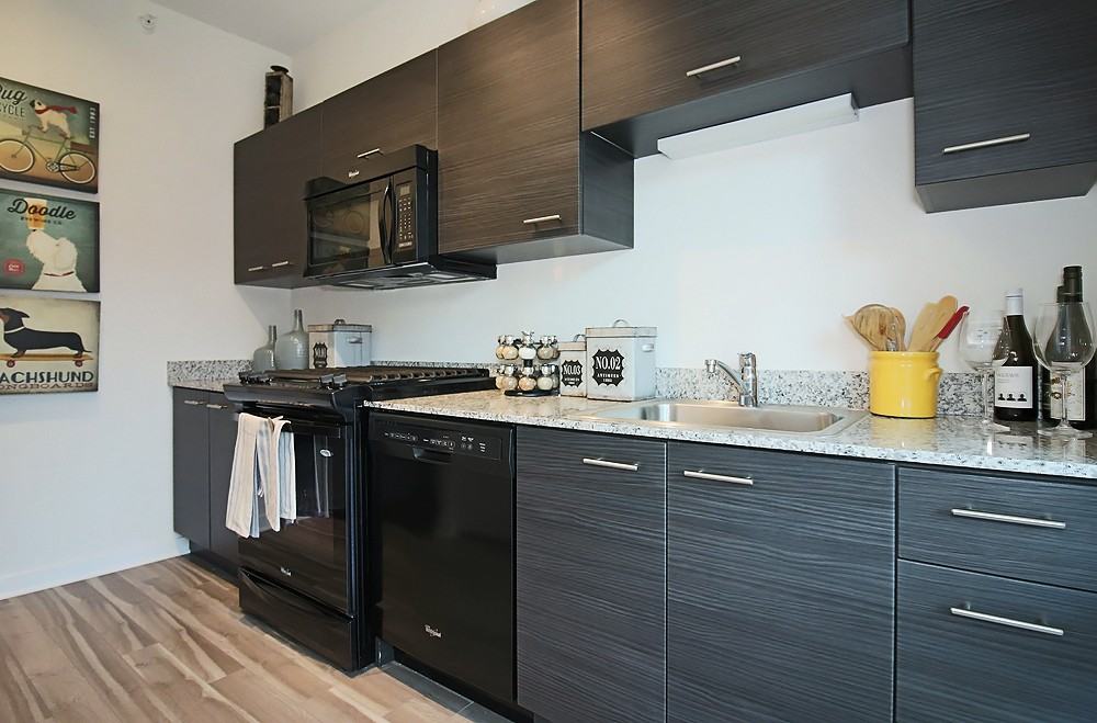 805 N La Salle Dr - Photo 4 of 17