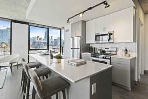 featured image of 160 N Elizabeth St #3-3PH