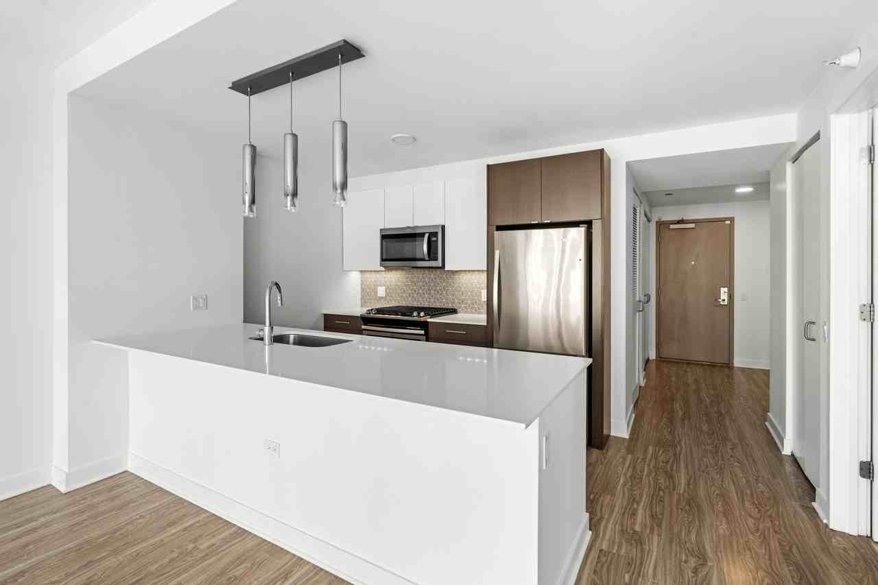 1326 S Michigan Ave #3-3PH - Photo 3 of 30