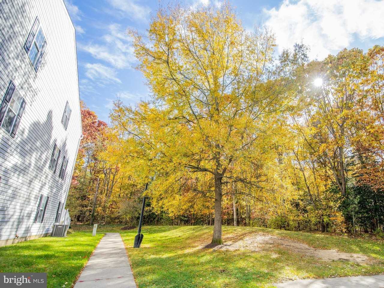 40 Amberstone Ct Apt N - Photo 6 of 37