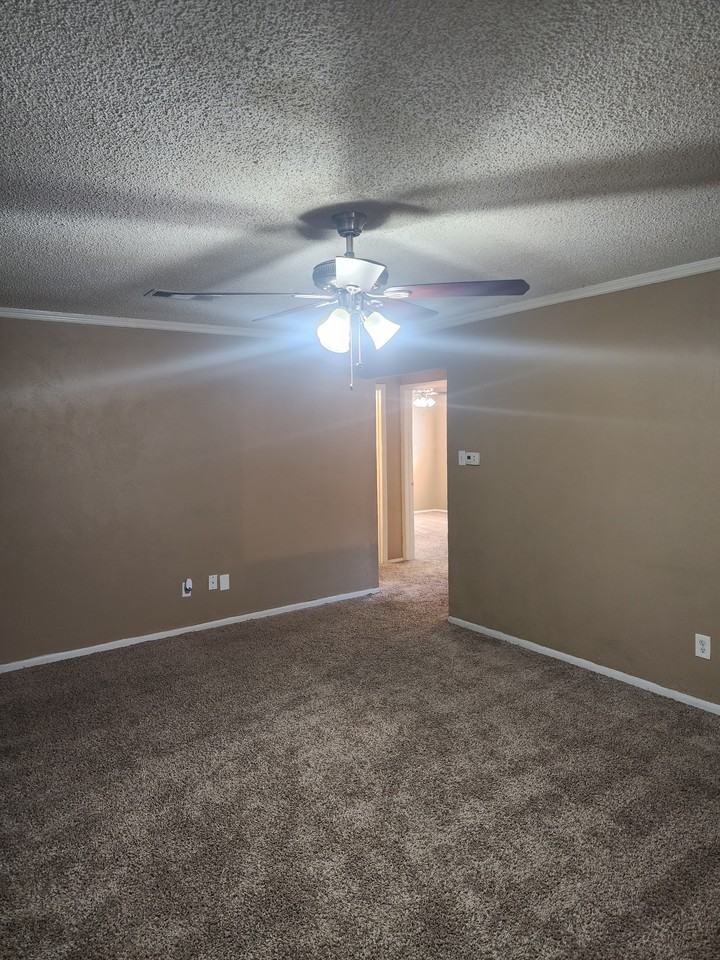 1175 Dublin Dr - Photo 5 of 22