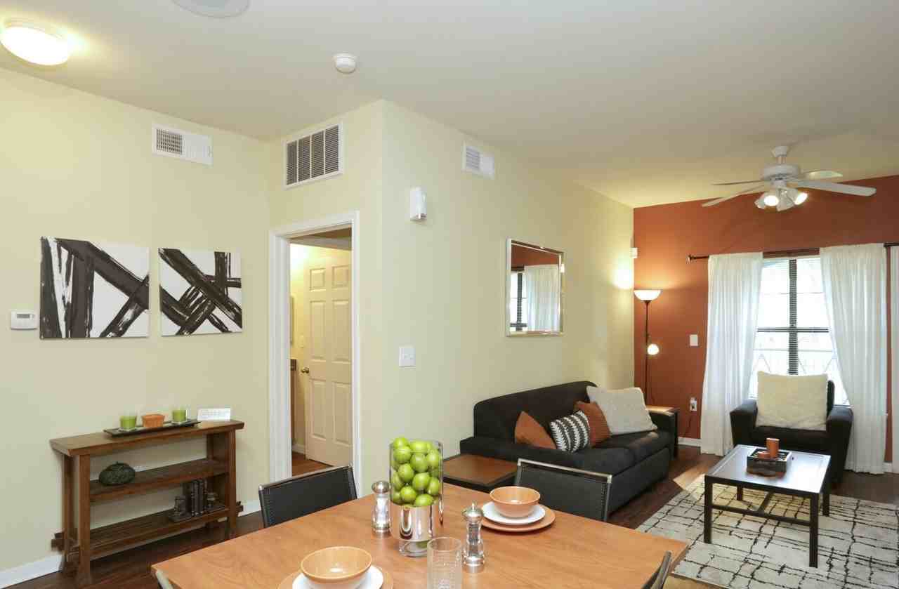 Town Lake - Photo 7 of 34