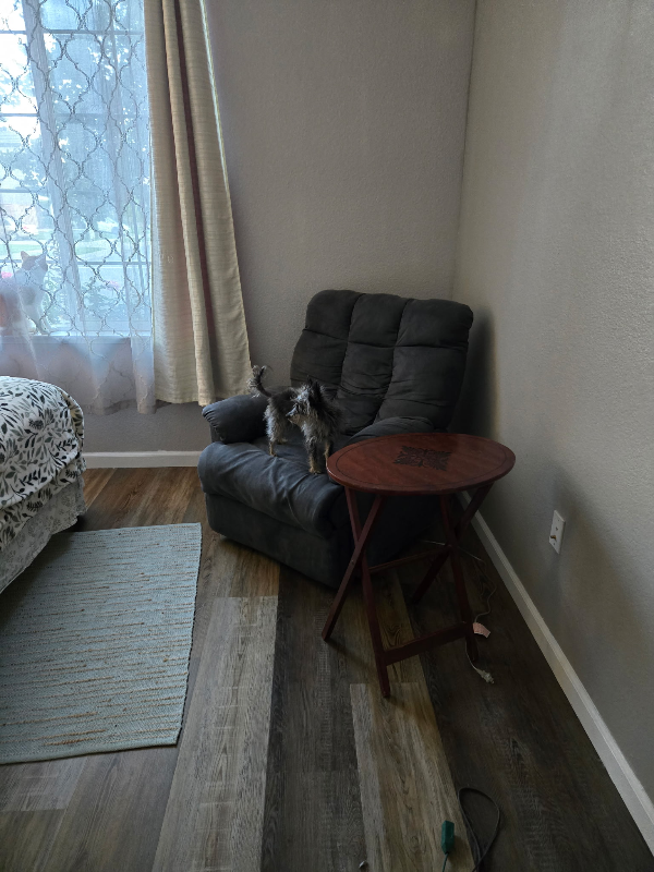 5212 Antiquity Cir - Photo 3 of 8