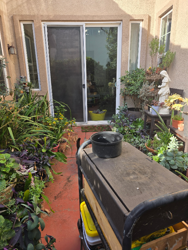 5212 Antiquity Cir - Photo 4 of 8