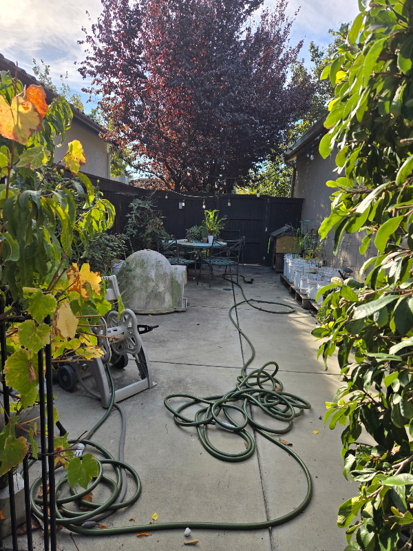 5212 Antiquity Cir - Photo 5 of 8