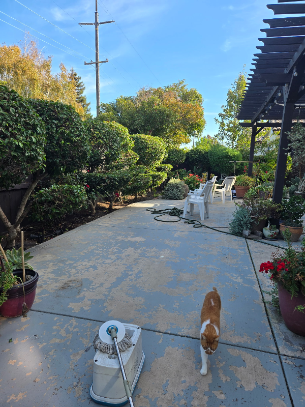 5212 Antiquity Cir - Photo 6 of 8