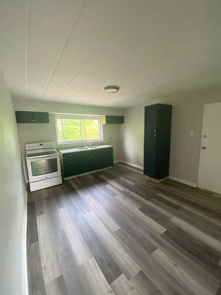 2331 Rugby Road - Photo 7 of 40