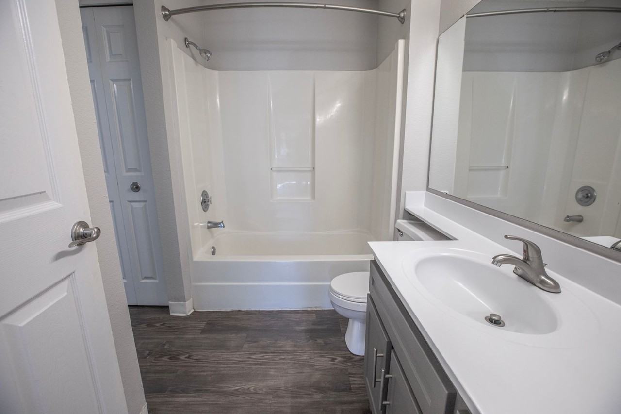 Bristol Village Apartments - Photo 6 of 50