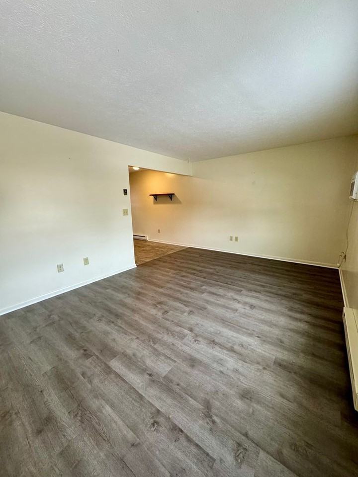 98 Dutch Mill Court - Photo 2 of 6