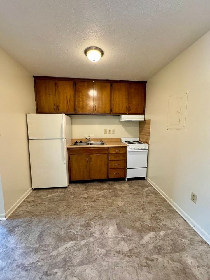 98 Dutch Mill Court - Photo 3 of 6