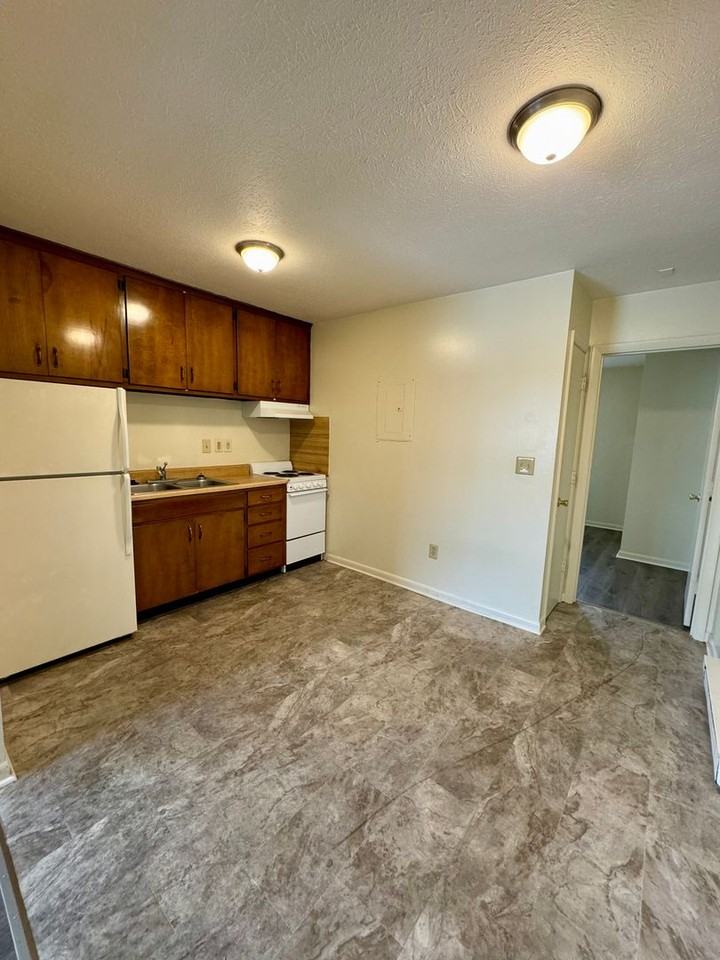 98 Dutch Mill Court - Photo 4 of 6