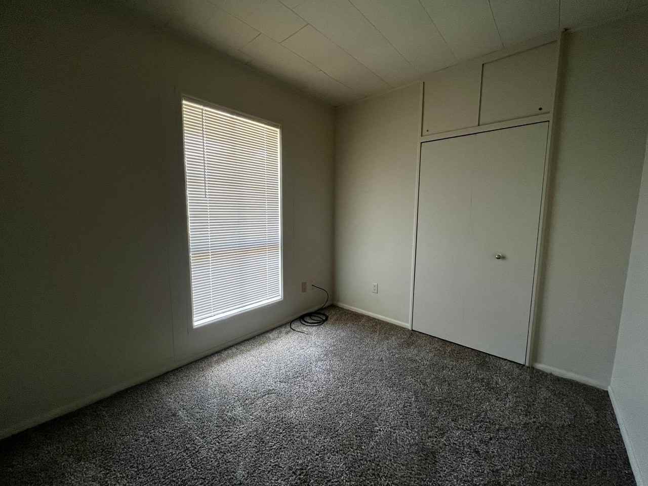 118 Sorority Dr - Photo 6 of 14