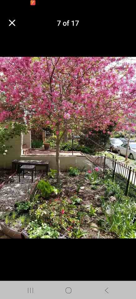 1745 Kilbourne Place Northwest #1