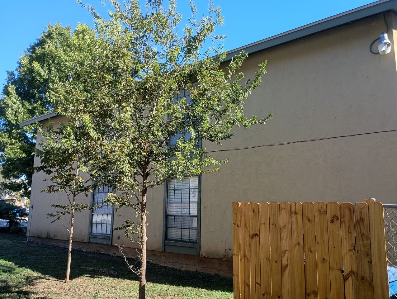 10533 Starcrest Dr - Photo 6 of 22