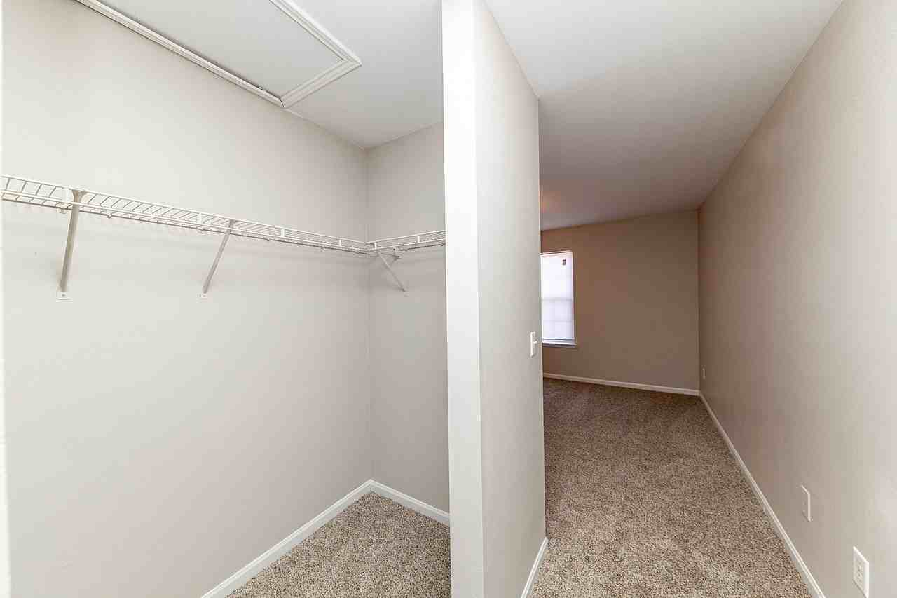 Cypress Creek - Photo 5 of 30