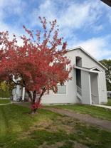 Quiet Country Living - Photo 1 of 1