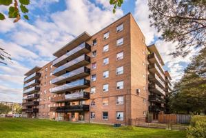 featured image of 7433 & 7433 Yonge St. And 20 & 30 Clarke Ave