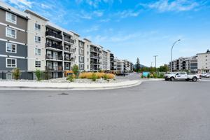 featured image of 4111 Crosland Pl