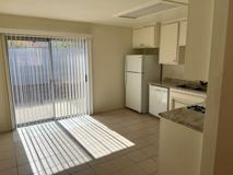 Verbena 61873 - Photo 1 of 1