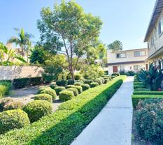 The Manor - Photo 1 of 1