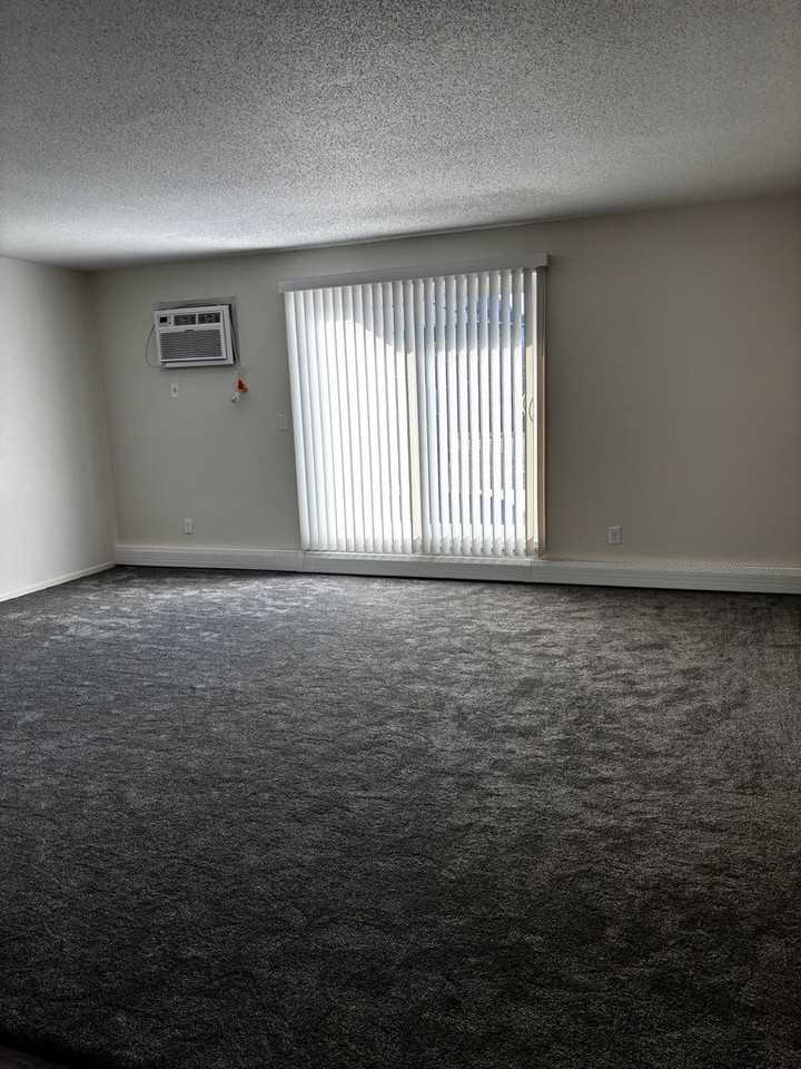 True North Apartments - Photo 5 of 14