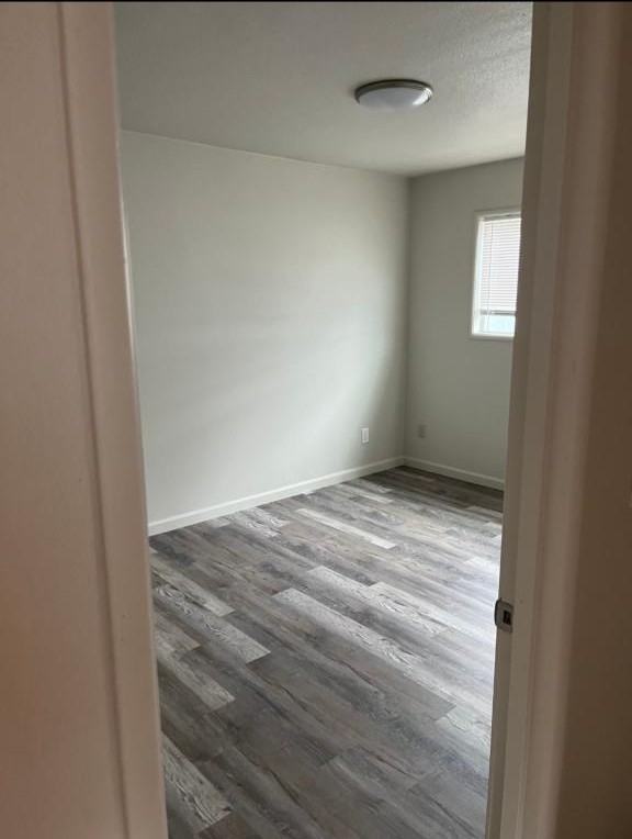 1924 Dorothy St - Photo 6 of 9