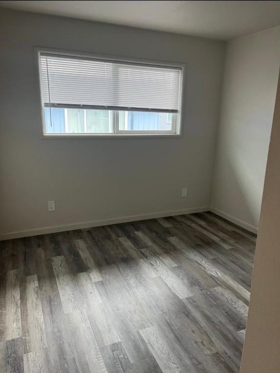 1924 Dorothy St - Photo 7 of 9