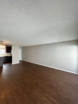 ALBERT - Photo 1 of 1