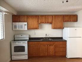 2407 Tusitala Street - Photo 1 of 1