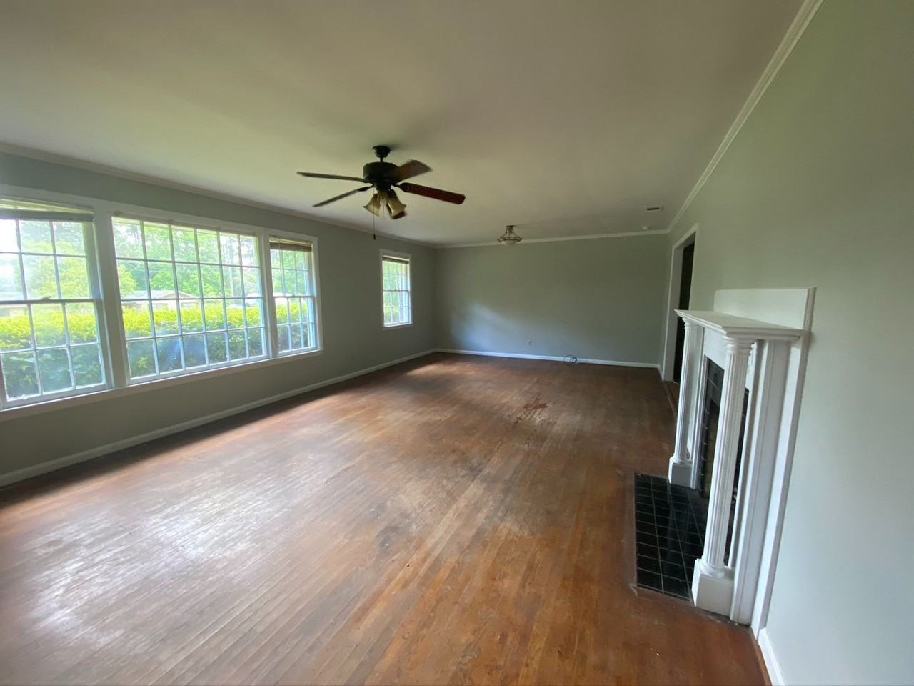 301 Pitt Moore Rd - Photo 6 of 12