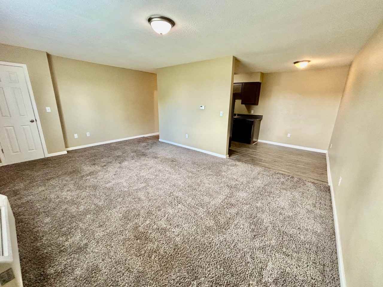 200 N. Hill-N-Dale St. - Photo 6 of 30