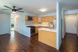 featured image of 1469 Lusitana St #309