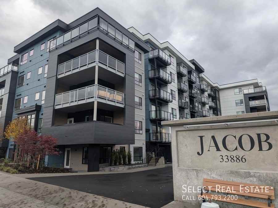 33886 Pine Street #420