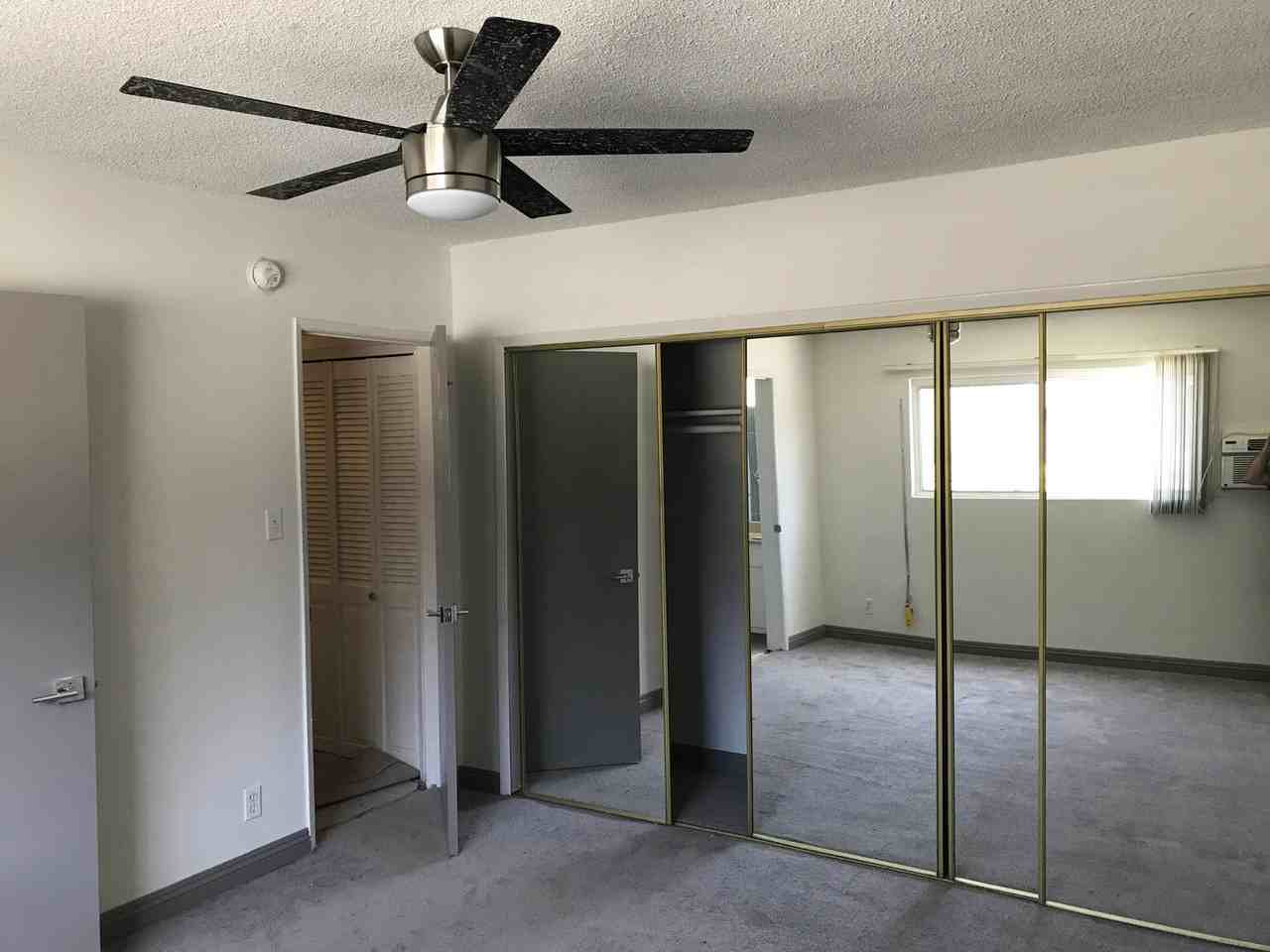 cla351 - Photo 7 of 15