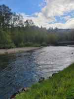 featured image of 509 Old Pacific Highway Southeast